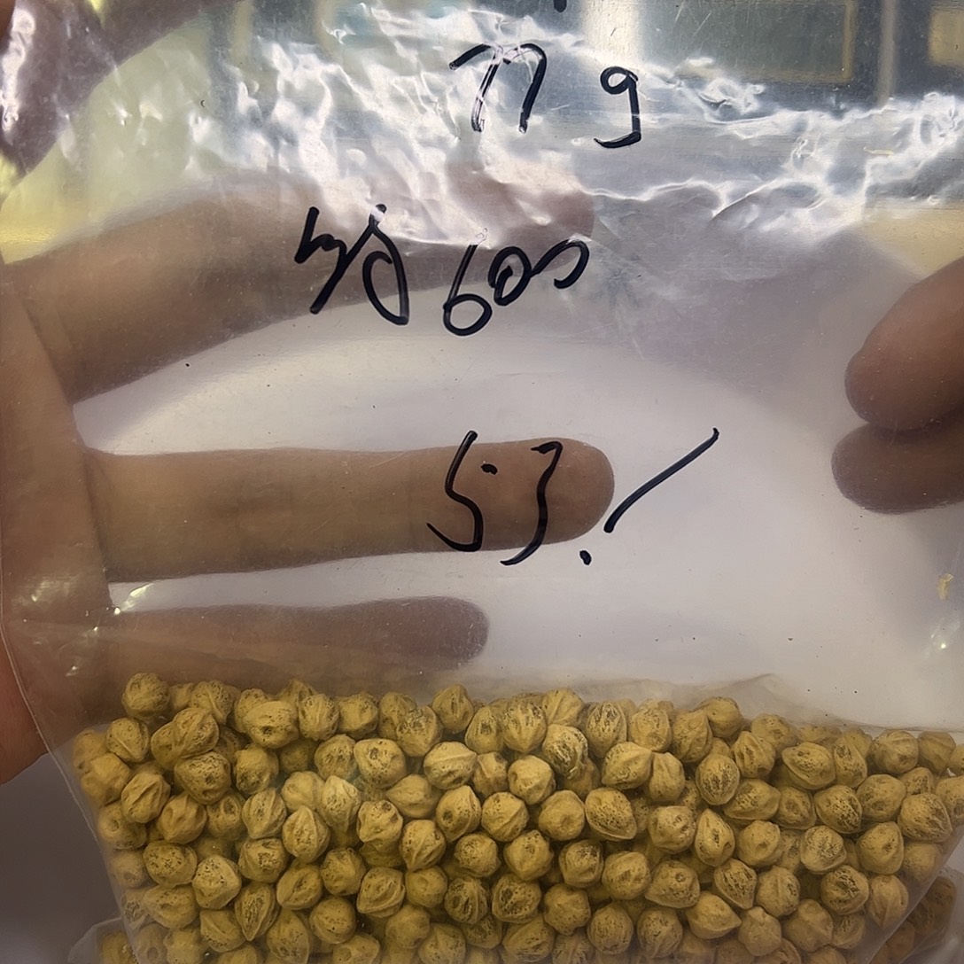 柒***爺柏香籽/百香籽吊坠