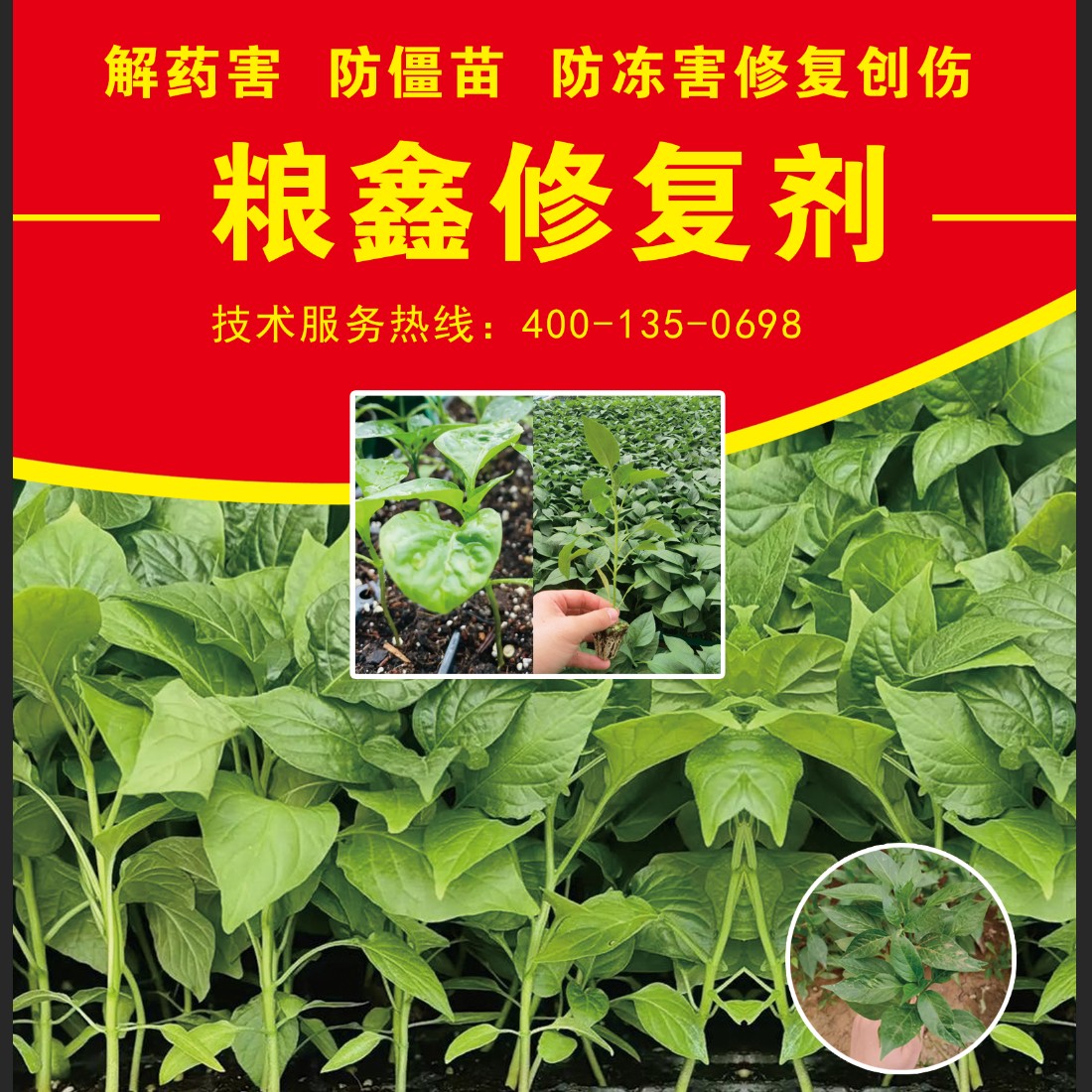 粮鑫修复剂，，僵苗黄苗，不长苗，创伤苗药害