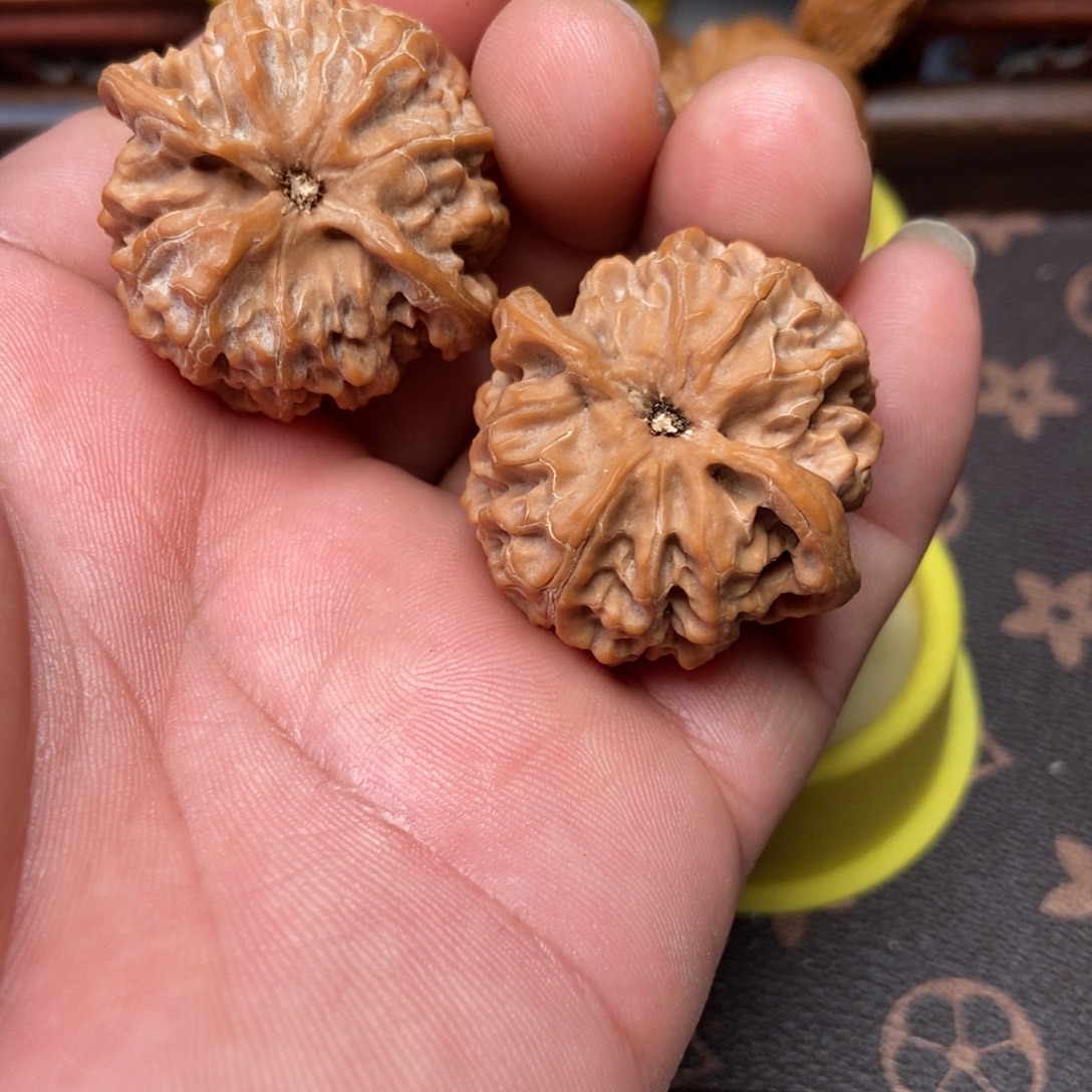 核桃全品37苹果园