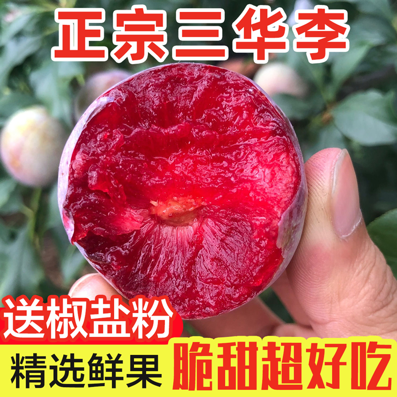 新鲜现摘正宗广东钱排红心三华李果园直发孕妇水果