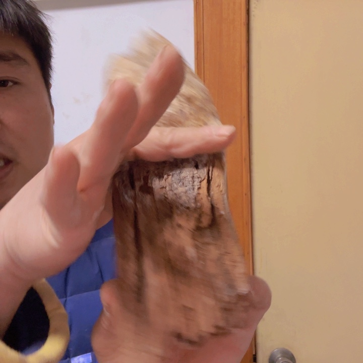 柏木（崖柏）风**生太行崖柏