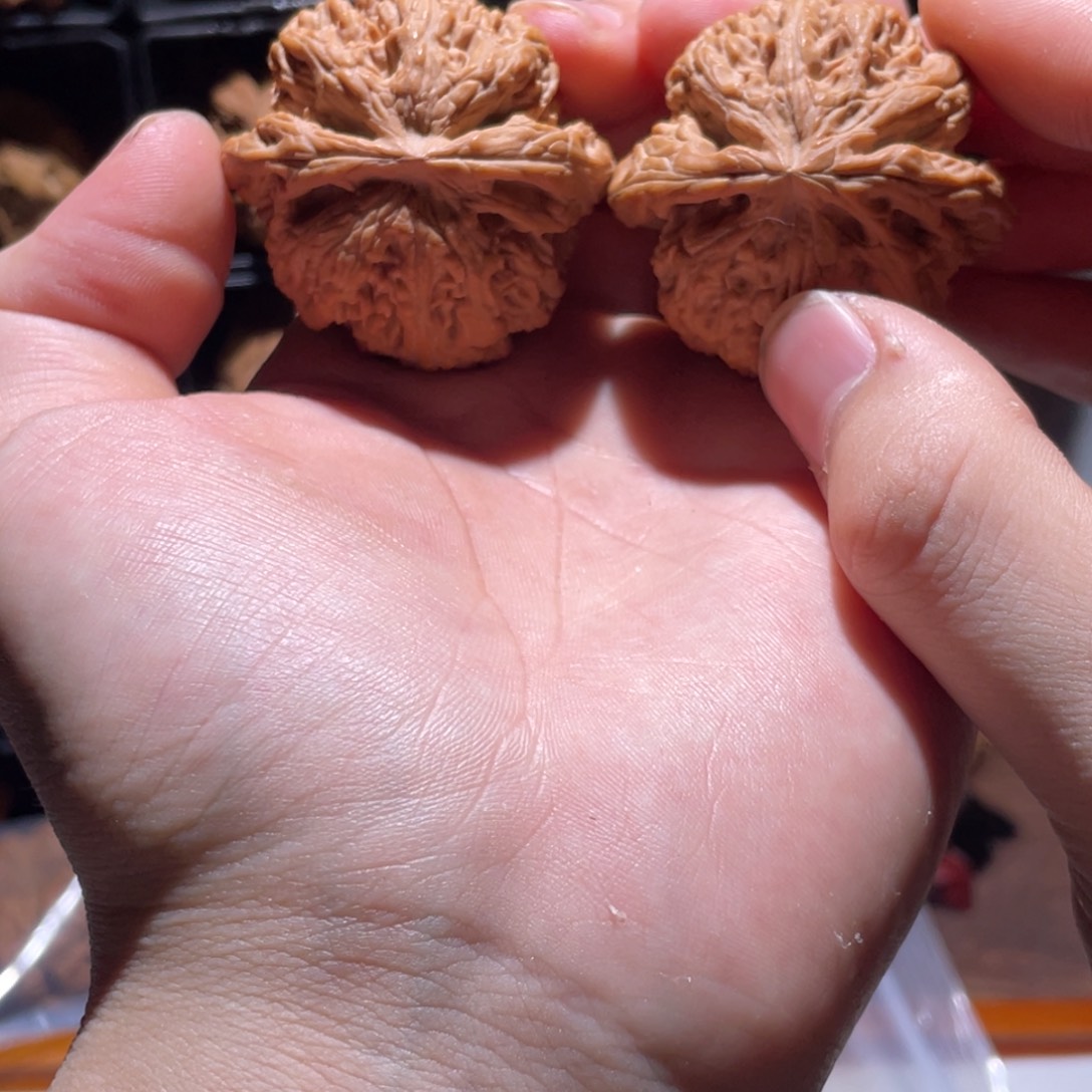 文玩核桃吊坠45全品粗筋