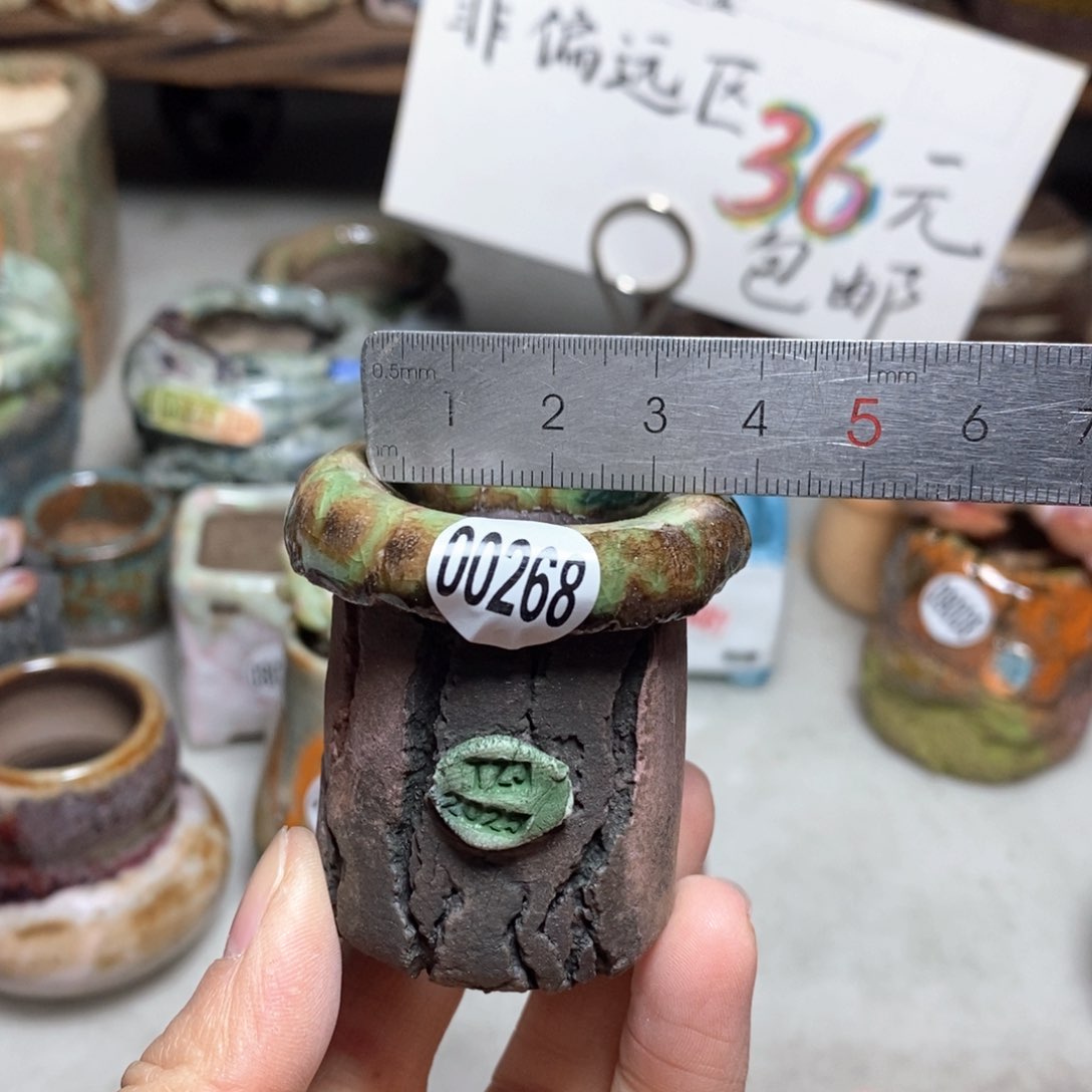 花盆拍3送一个小礼物