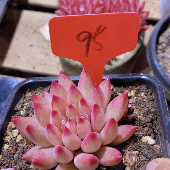 在家里面我一晚上