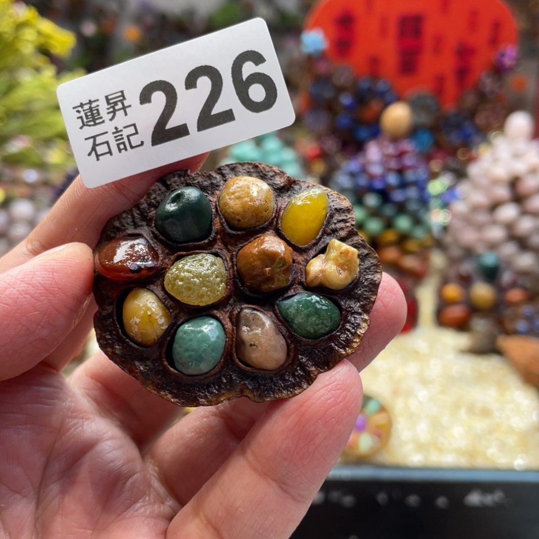 核桃木/黑胡桃（胡桃木）226