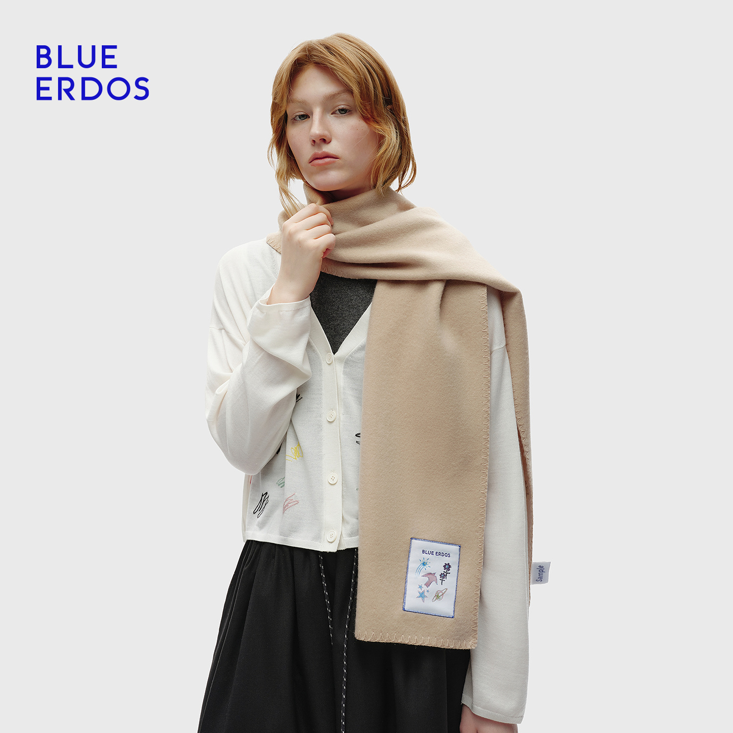 【100%山羊绒】BLUE ERDOS25秋冬新品百搭刺绣元素围巾B256S1016