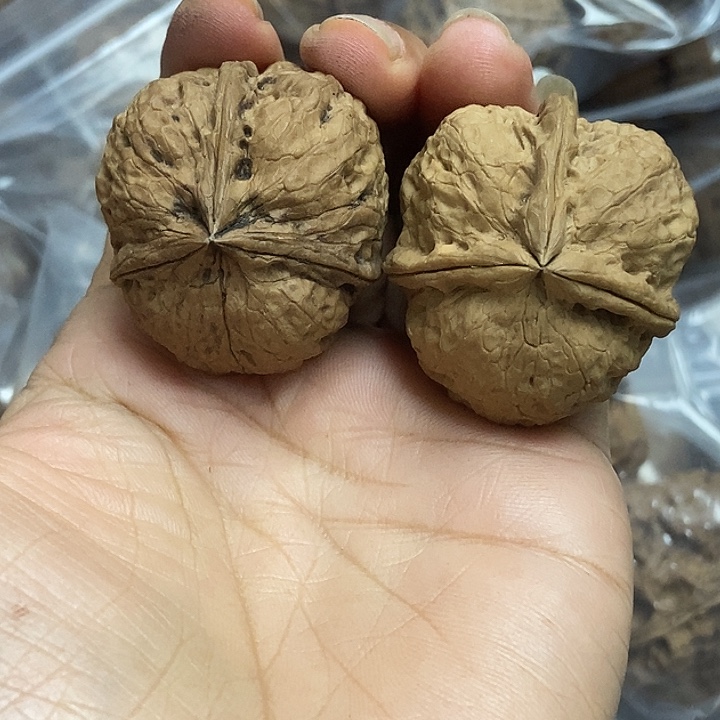 文玩核桃把件云南铁核桃基地27