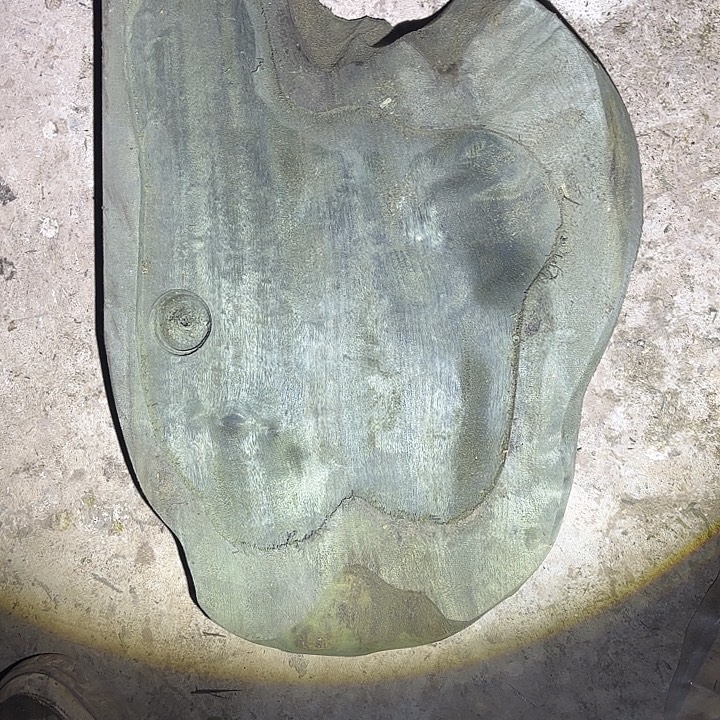 金丝楠啊啊啊啊啊啊啊