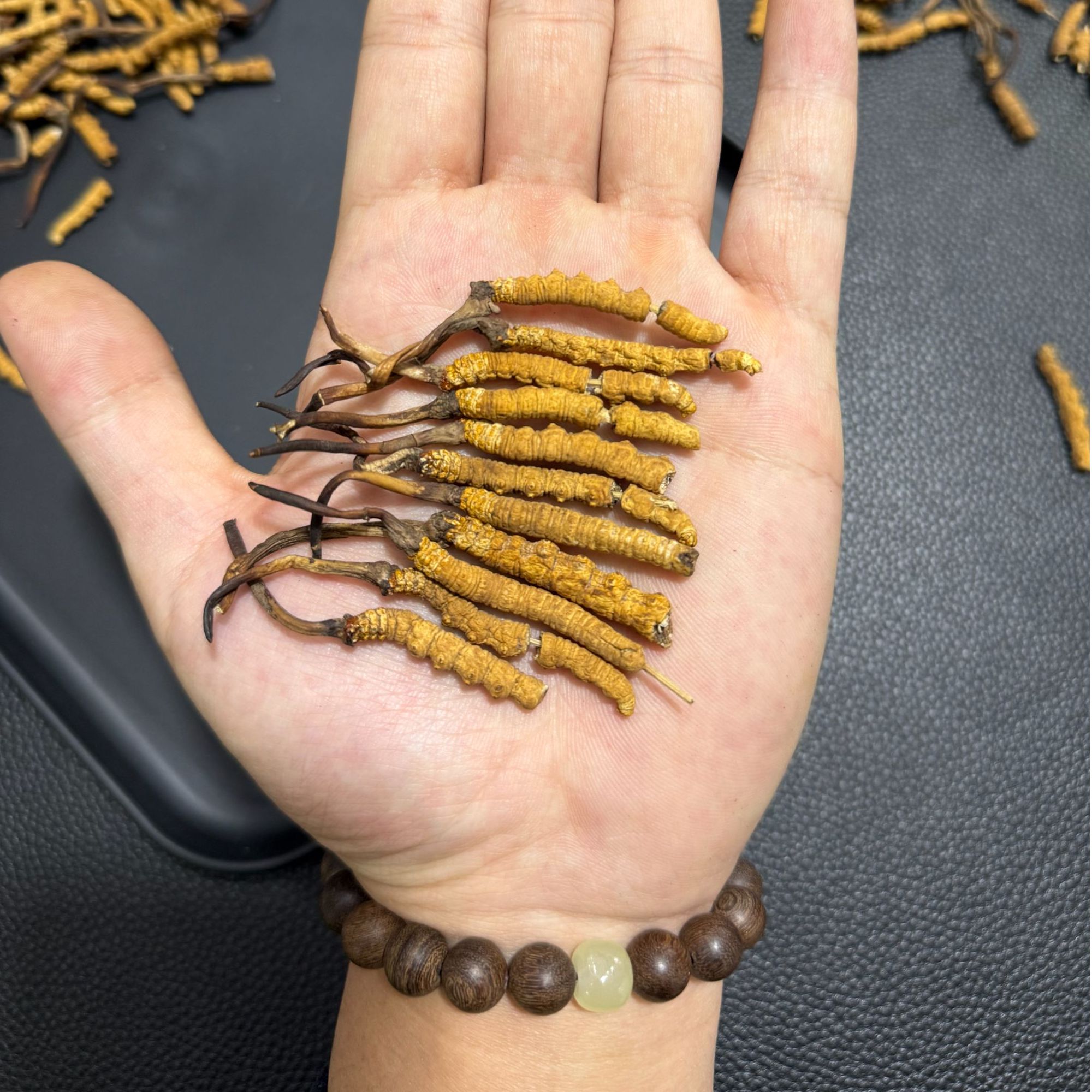 雅杂根布源头现场收草精品高山高海拔冬虫夏草口粮精品特级大断草
