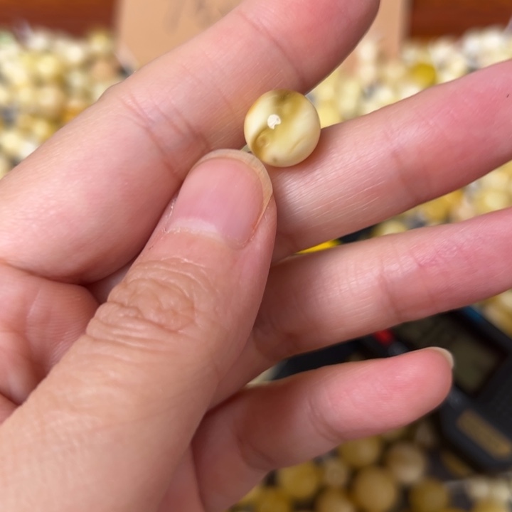蜜蜡未镶嵌裸石11.4mm一个