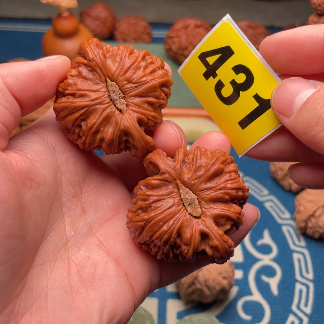 *****把件文玩核桃46卡姿兰白狮子431号