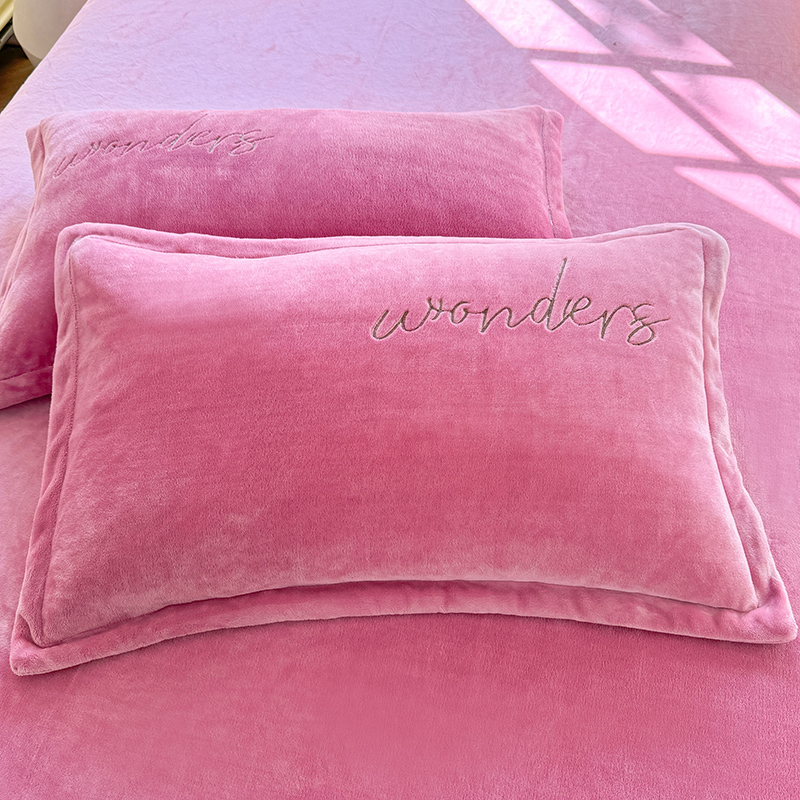 工厂福利款牛奶绒夹棉加厚枕套一对成人枕头套单人枕套双人枕纯色