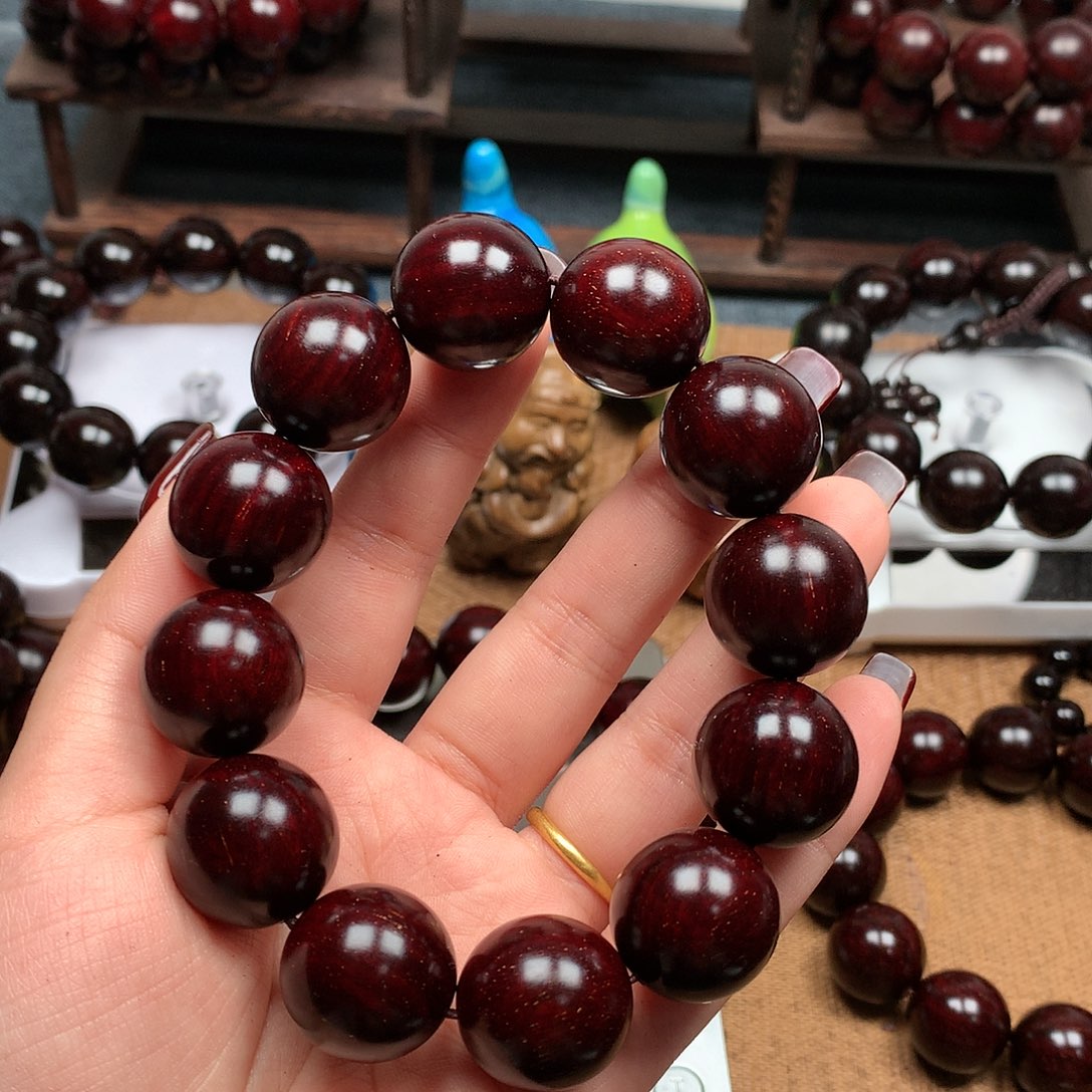 檀香紫檀（小叶紫檀）苗**歌2.0满星