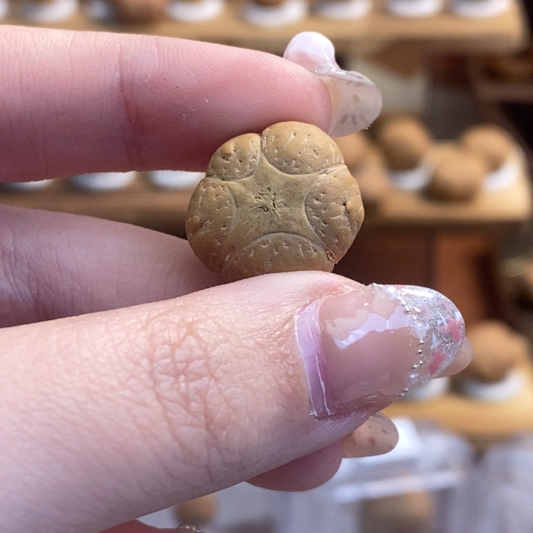 乘***1凤眼菩提吊坠五星