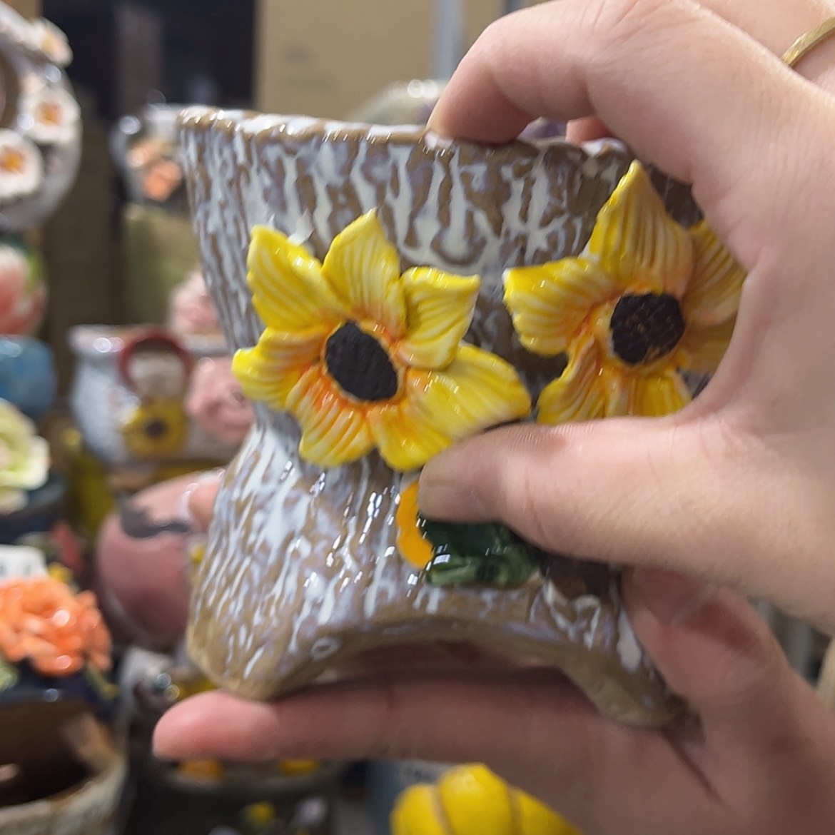 【闪购商品】红陶福利