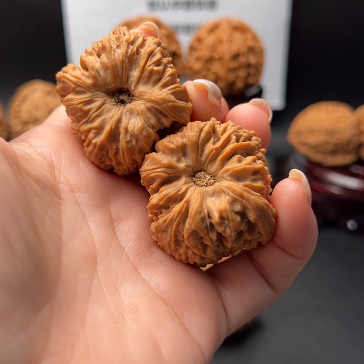 淡*?16号老树果老特点丑将