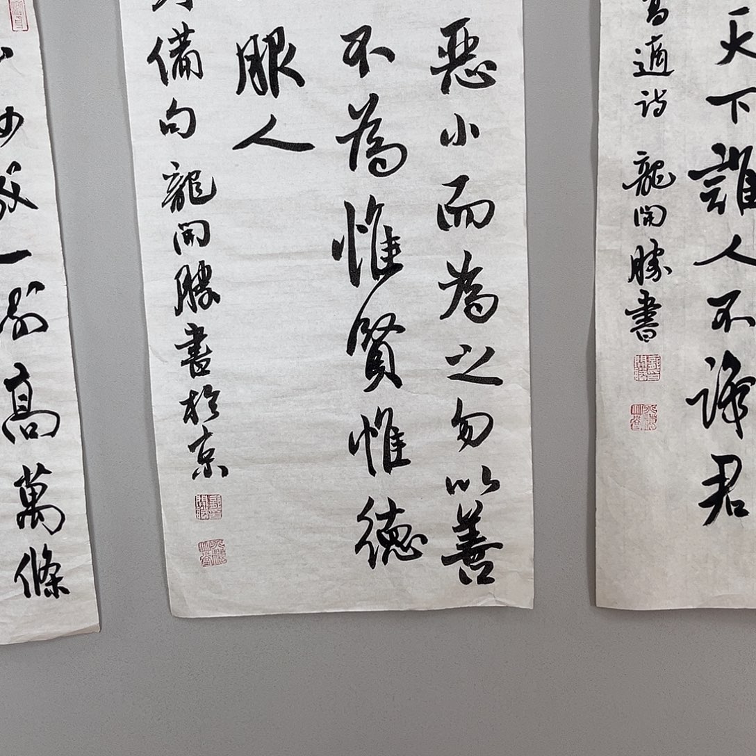 书法龙老师书法作品