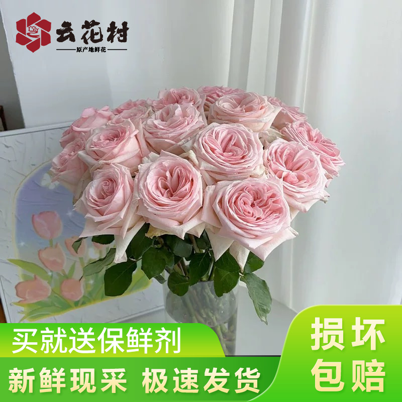 【520鲜花】粉荔枝玫瑰【全店任意满两件发顺丰京东】云南鲜花直发