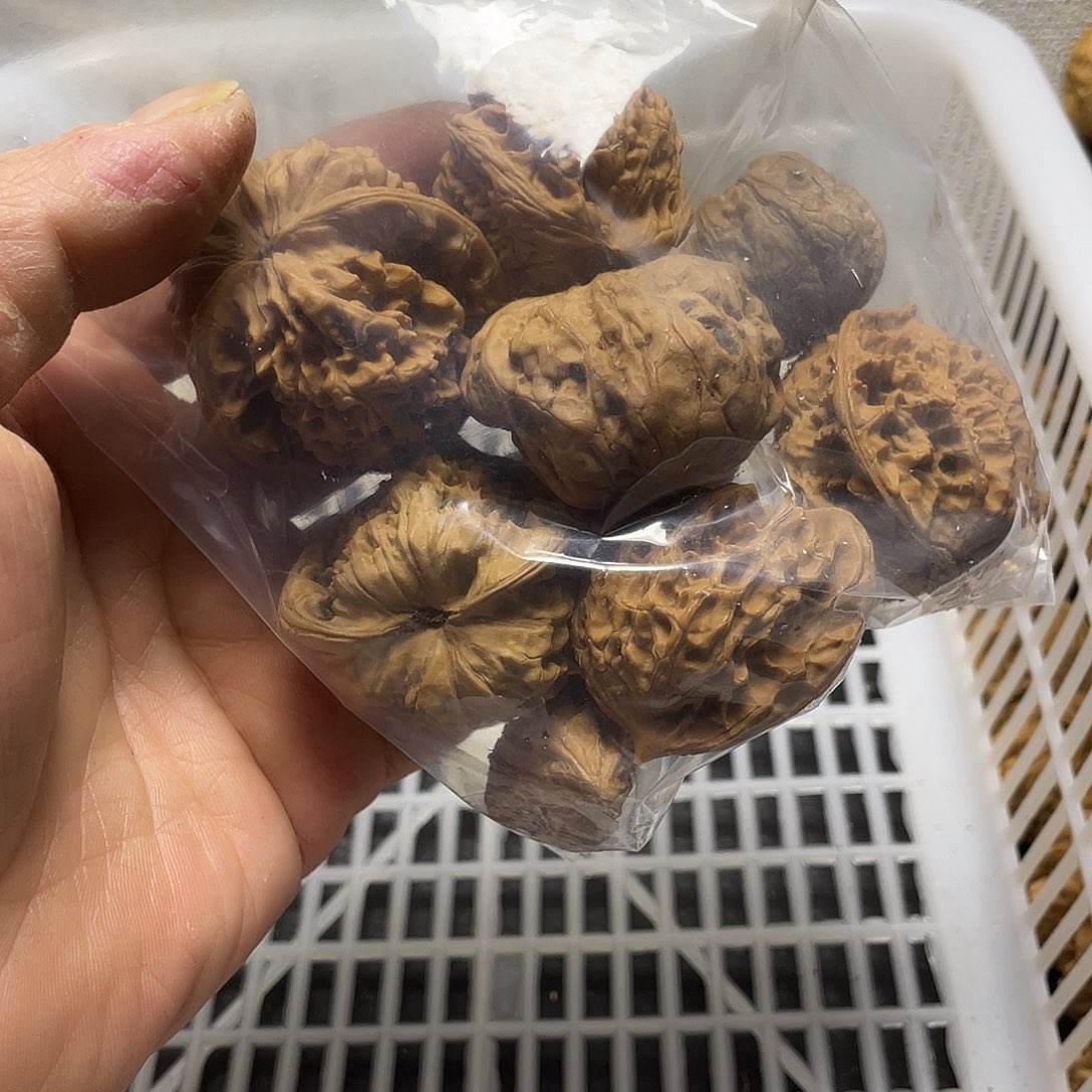 兵***生吊坠文玩核桃不退不换