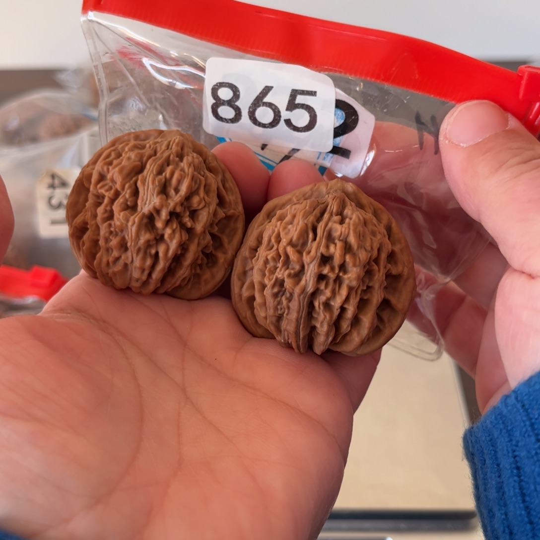 吊坠文玩核桃楼子41