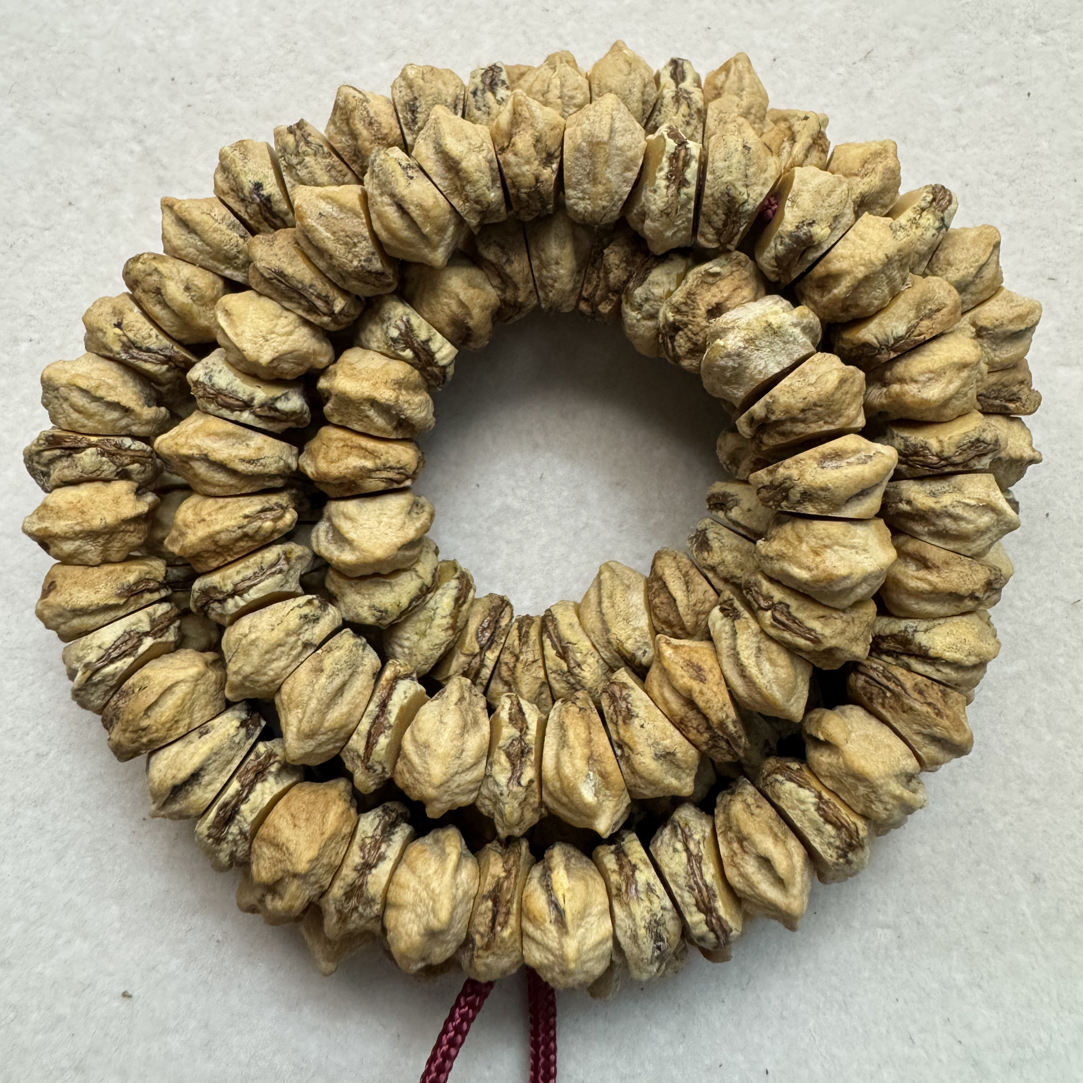 【苍狼】藏切大尺寸 高油高密百香