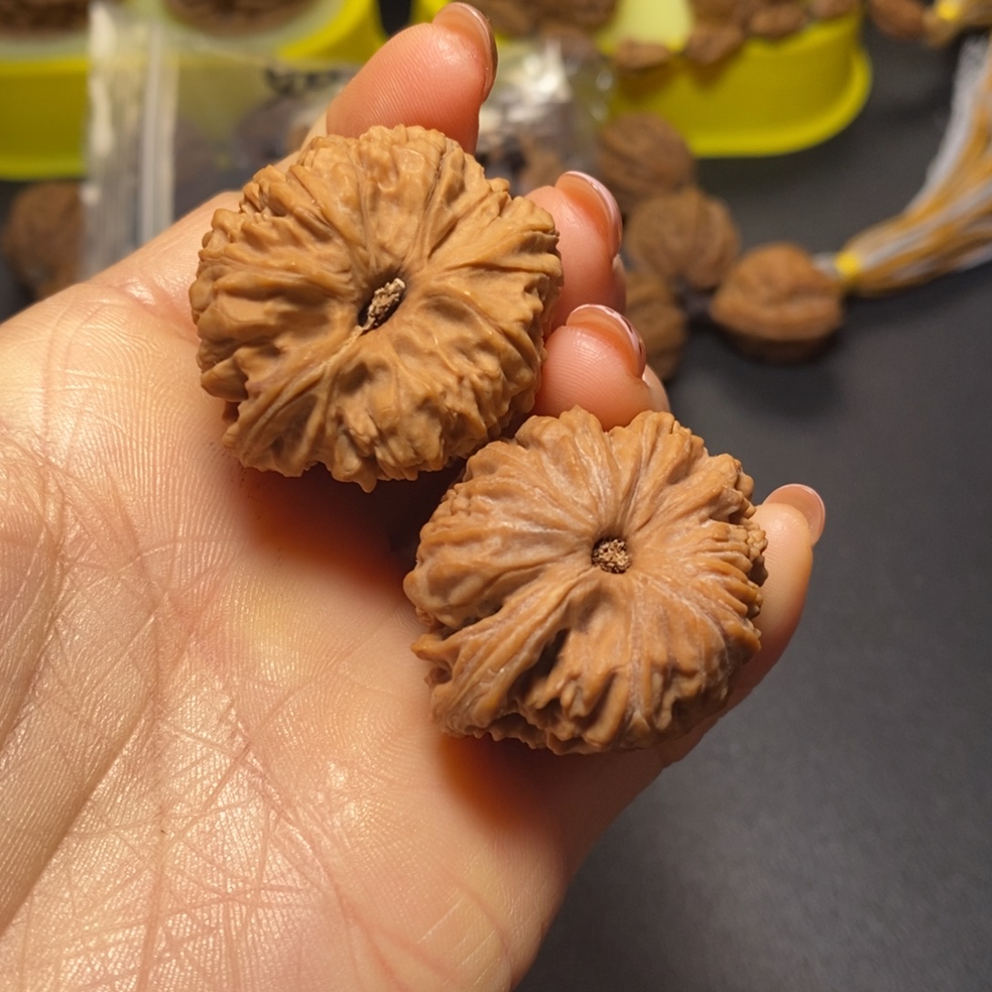 维***奶核桃文玩核桃南疆双色球