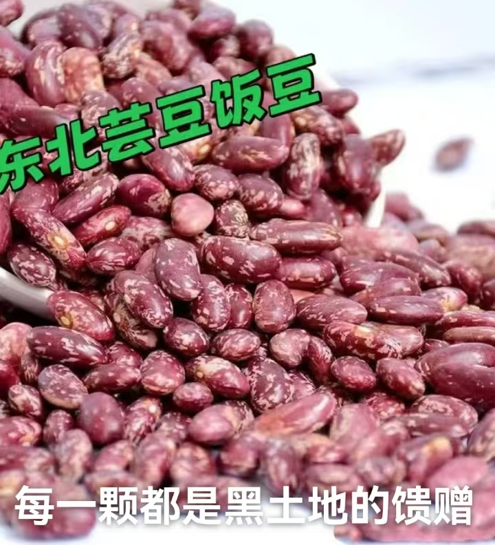 东北紫花芸豆红芸豆新鲜豆子可用于大碴粥和焖饭的食材