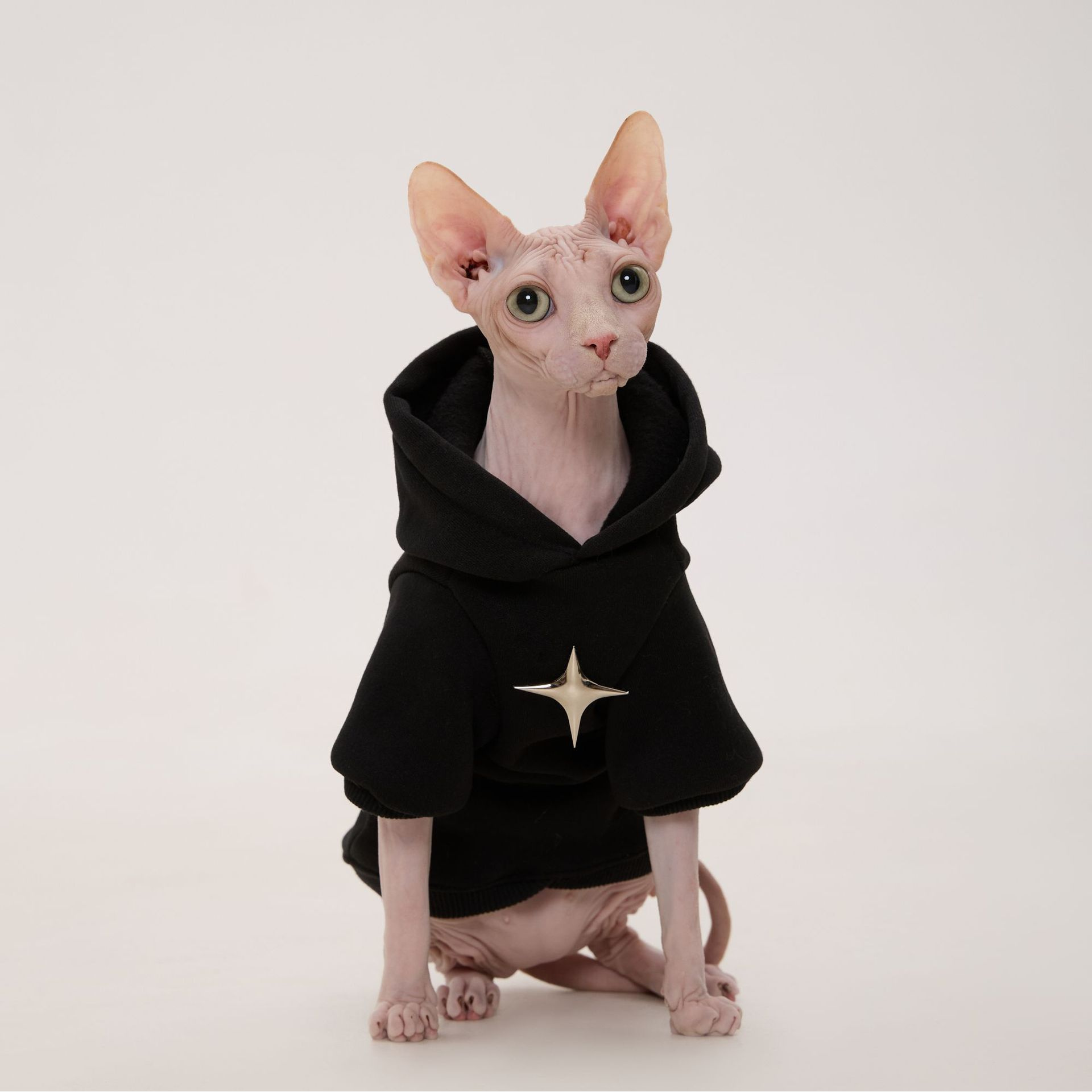 宠物连帽卫衣无毛猫德文猫咪卫衣保暖加绒秋冬款宠物衣服