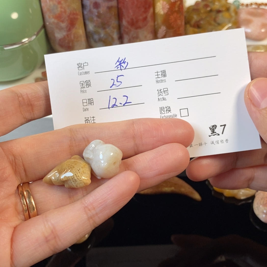 彩***鱼硅化珊瑚（珊瑚玉）未镶嵌颈饰