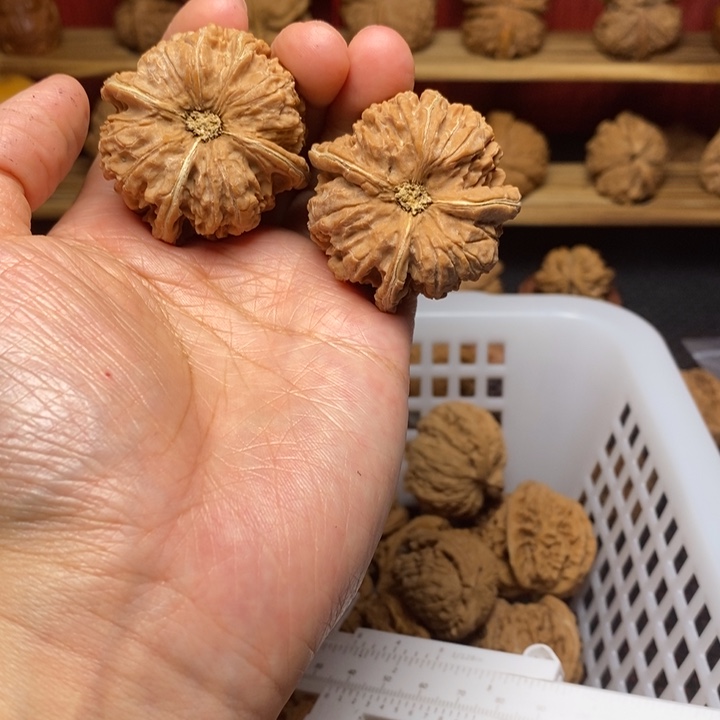 S***n把件文玩核桃文玩