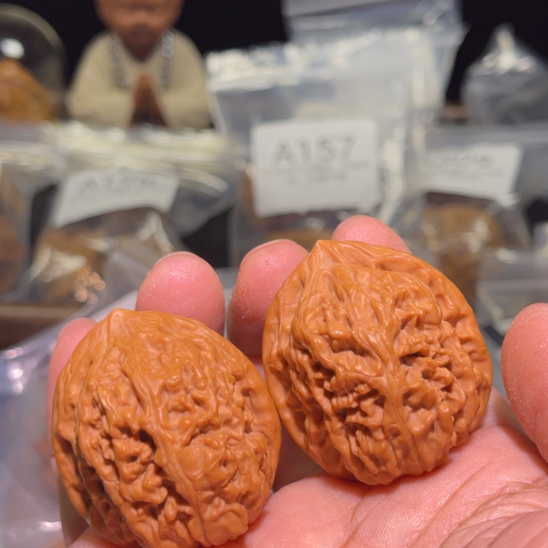 核桃手串/手链37.5凤凰台