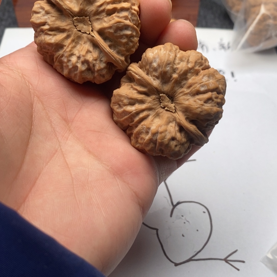 ✎***诗好的我真的是太喜欢这个节目的