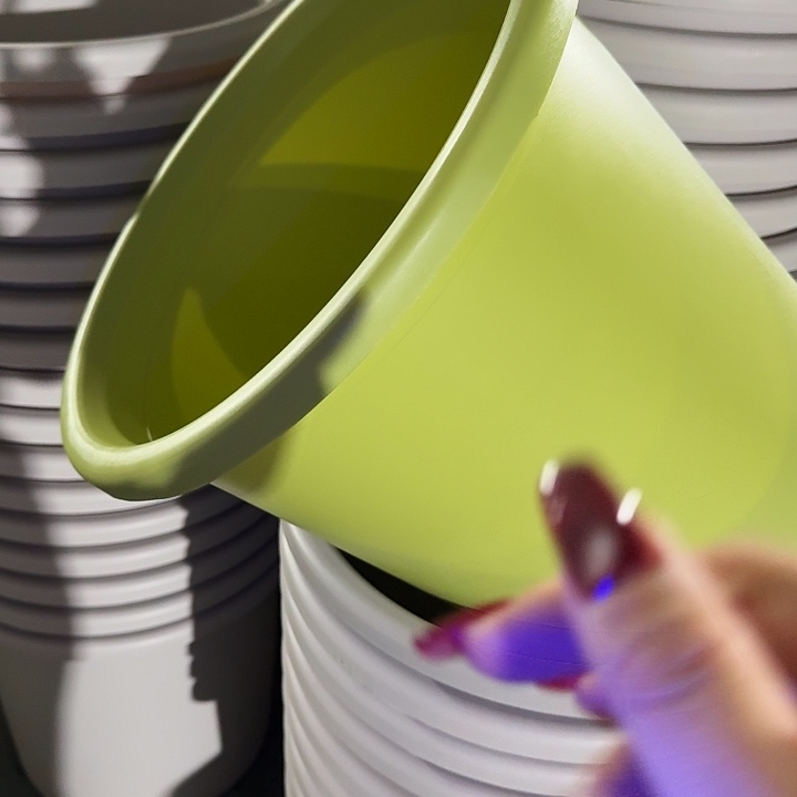 四季8号果绿无托5个特价微瑕