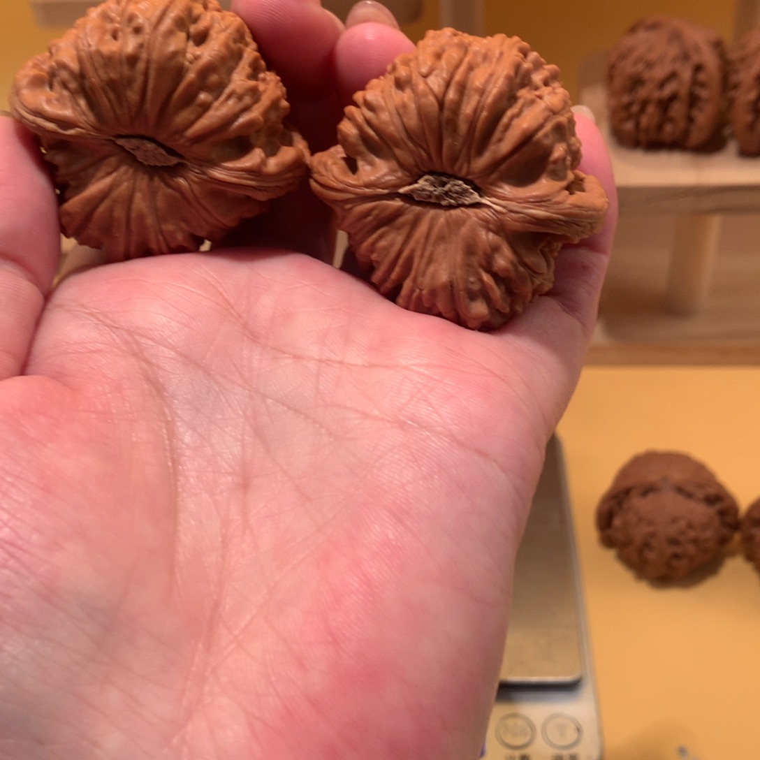 核桃白狮子1111111