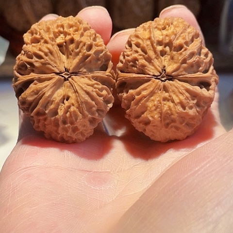 把件文玩核桃铁南疆带彩磕尖43