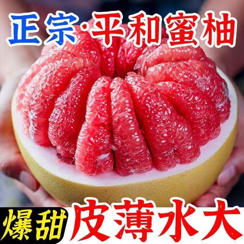 D福建平和琯溪蜜柚红肉柚子三红柚果肉饱满多汁新鲜应季水果包邮