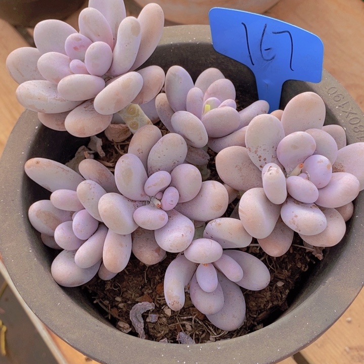 这个我就知道这点