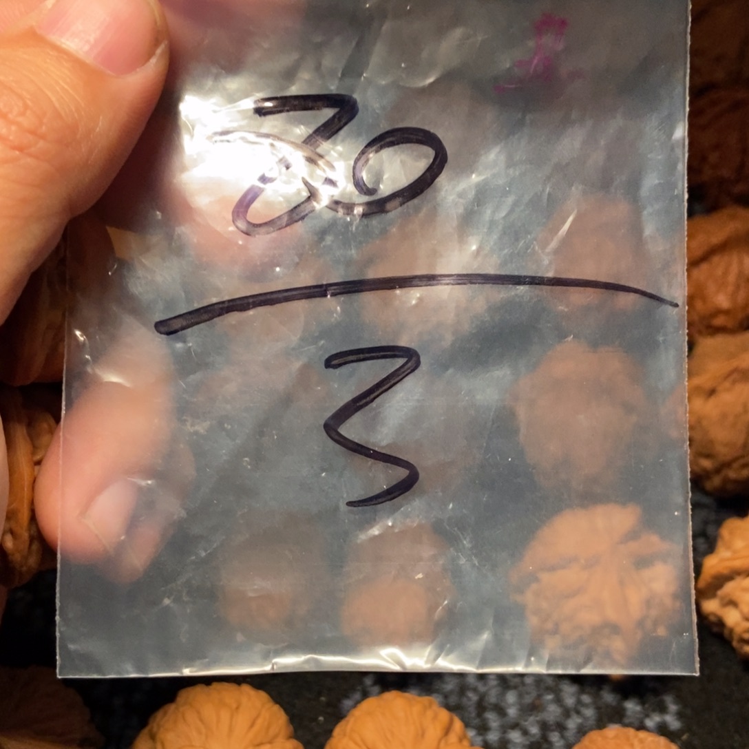 乄***乄文玩核桃把件文玩核桃磨盘38全品