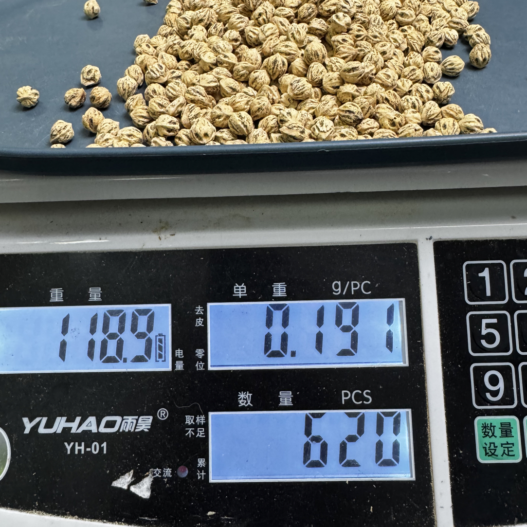 热振满坑满鬼柏香籽7.5+118克LA038