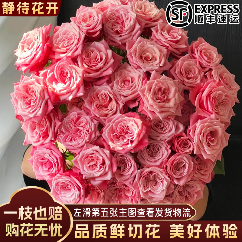 【静待花开】闺蜜-A级单头玫瑰 云南鲜花斗南花卉基地直发顺丰包邮