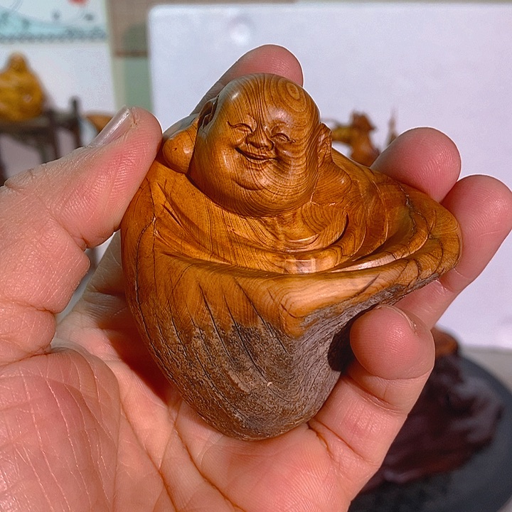 柏木（崖柏）太行大峡谷崖柏