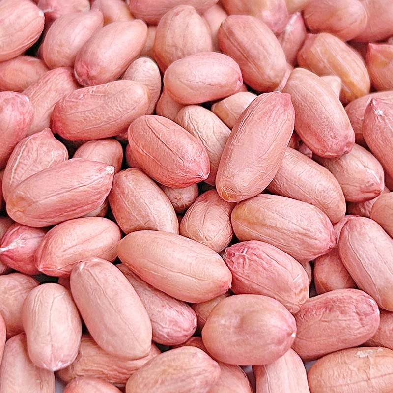 现剥花生米生新货大粒花生米不带壳白沙花生仁