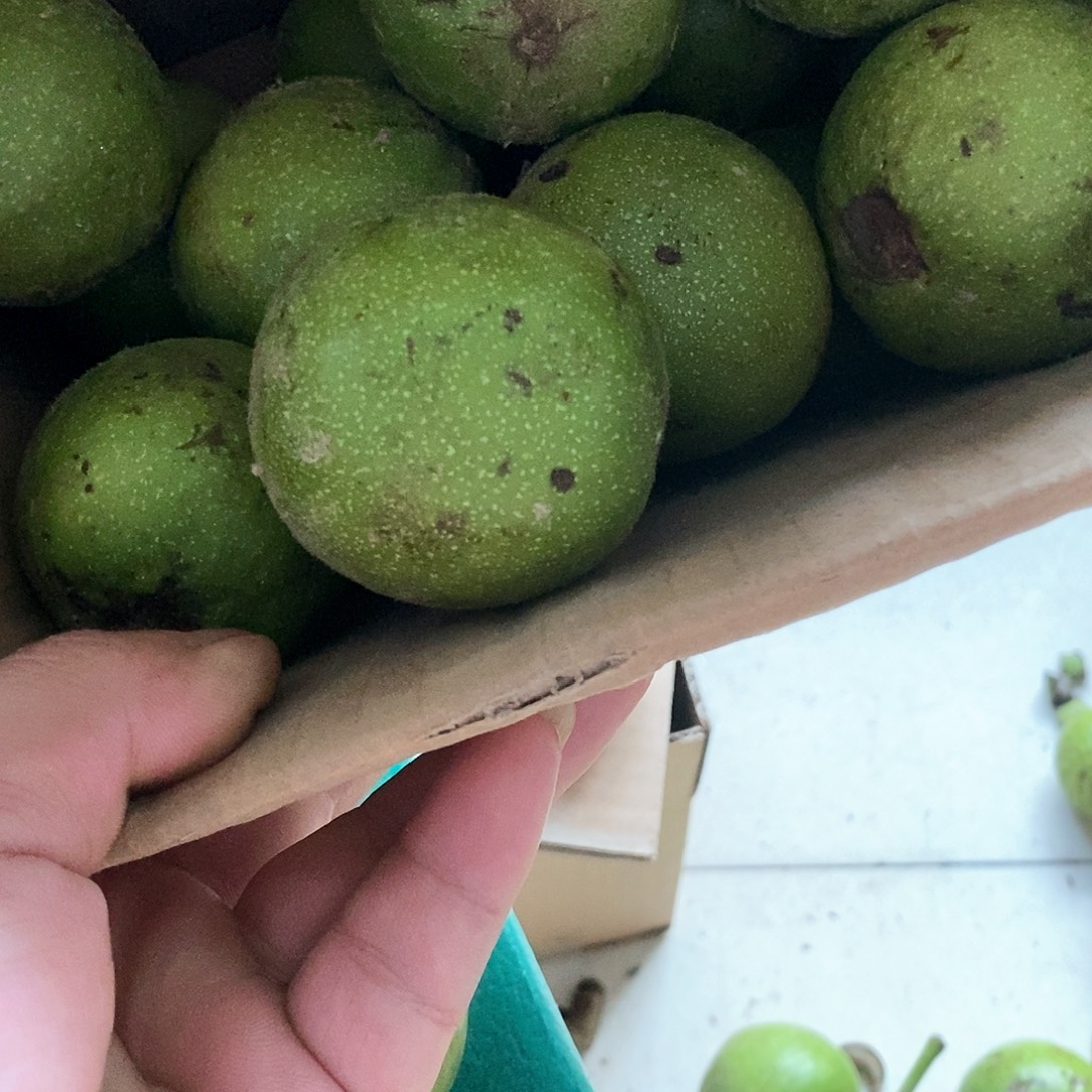 文玩核桃吊坠核桃