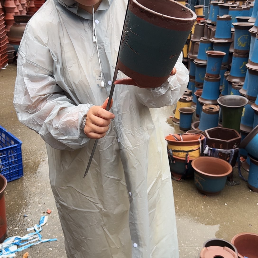 花盆花盆花盆花盆花盆花盆a25