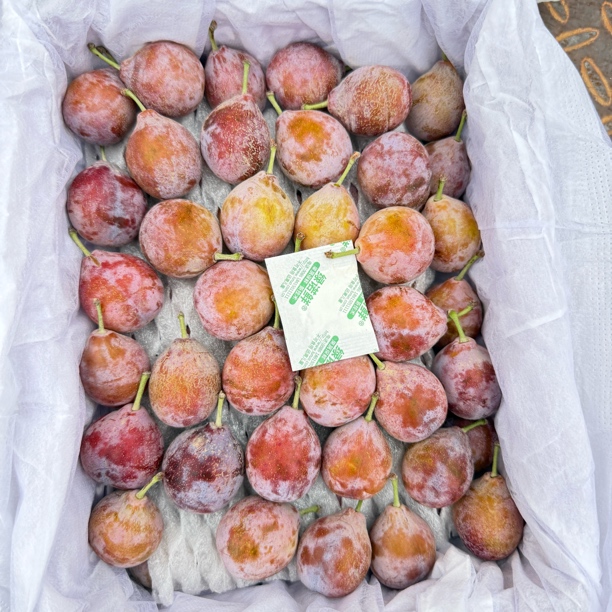 新疆喀什法兰西西梅 整件 约3.8斤 顺丰包邮到家