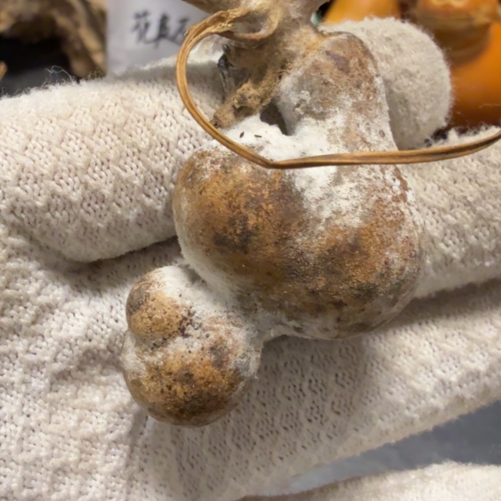 余***心6766666777777778888