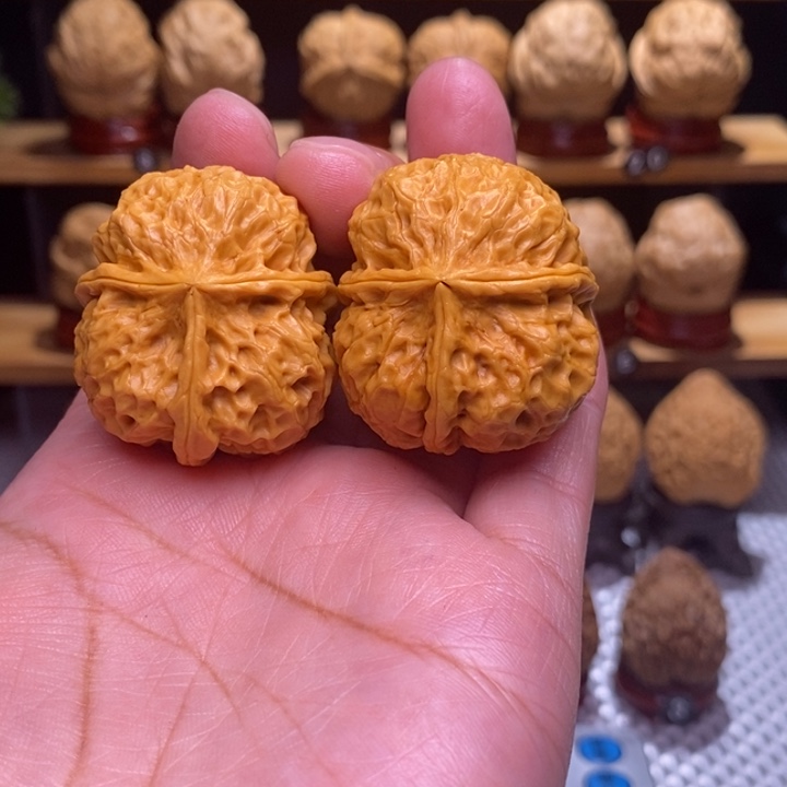 木质类云铁梅花三棱104号