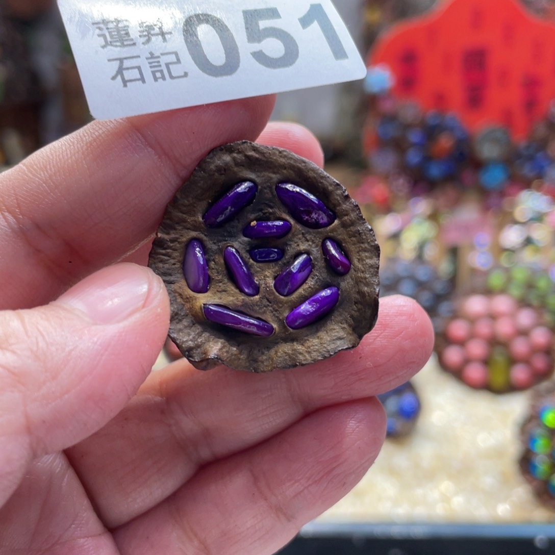 核桃木/黑胡桃（胡桃木）051