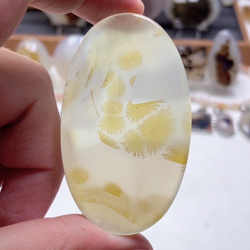 【闪购商品】玛瑙/玉髓颈饰未镶嵌