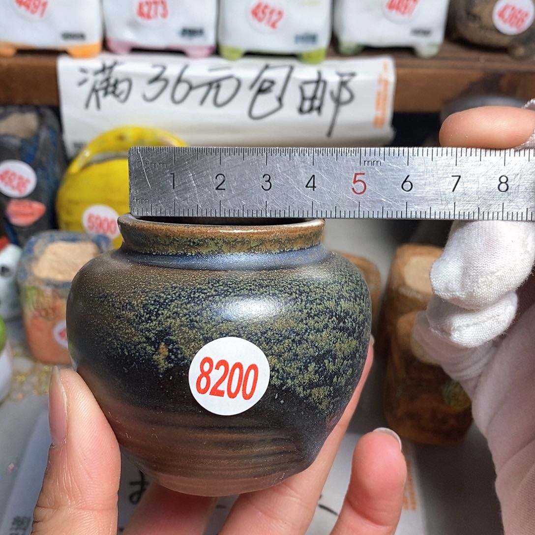 红陶拍5送一个小